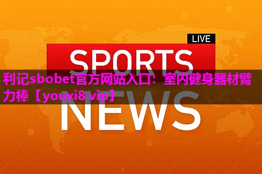 利记sbobet官方网站入口：室内健身器材臂力棒