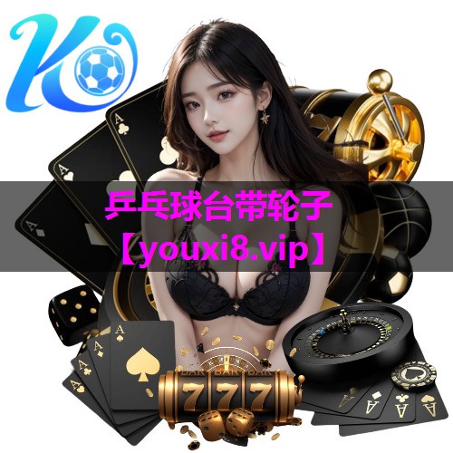 乒乓球台带轮子