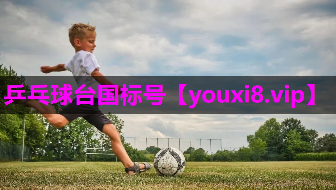 乒乓球台国标号