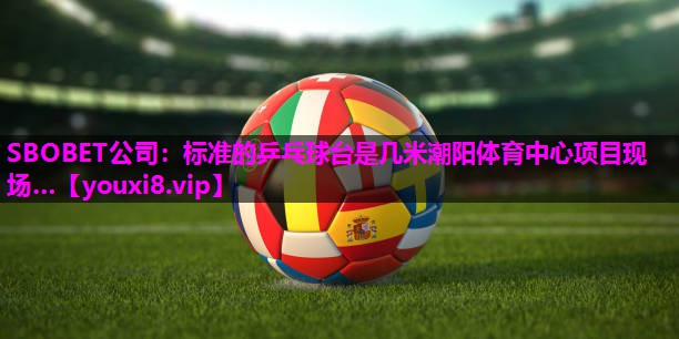 SBOBET公司：标准的乒乓球台是几米潮阳体育中心项目现场…