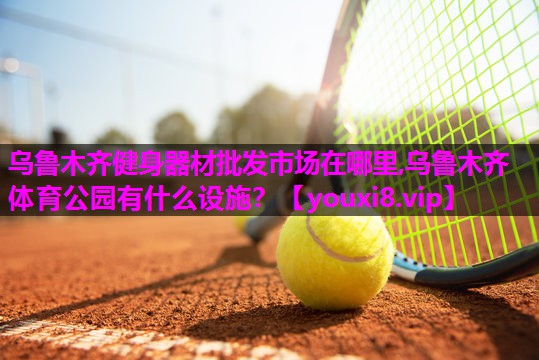 乌鲁木齐健身器材批发市场在哪里,乌鲁木齐体育公园有什么设施？