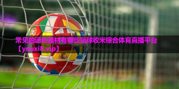 常见的运动器材有哪些篮球收米综合体育直播平台