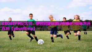 SBOBET利记公司：便宜的篮球器材有哪些168体育还在吗
