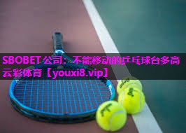 SBOBET公司：不能移动的乒乓球台多高云彩体育
