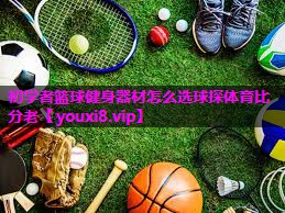 初学者篮球健身器材怎么选球探体育比分老