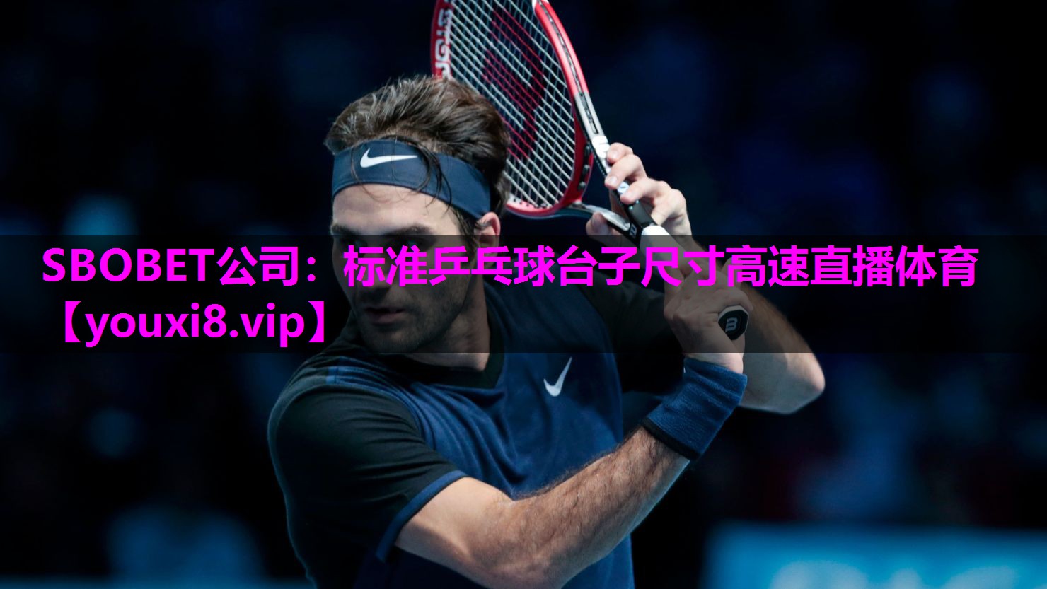 SBOBET公司：标准乒乓球台子尺寸高速直播体育