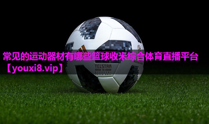 常见的运动器材有哪些篮球收米综合体育直播平台