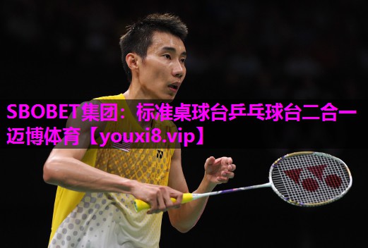 SBOBET集团：标准桌球台乒乓球台二合一迈博体育