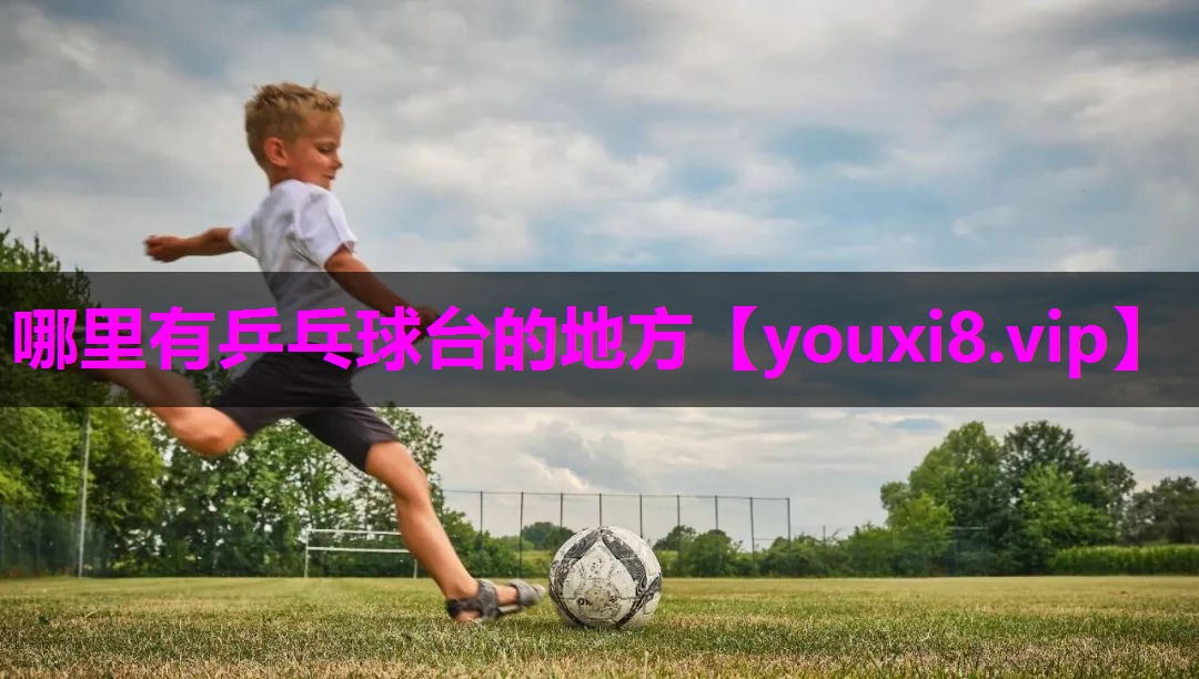 哪里有乒乓球台的地方