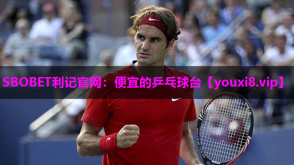 便宜的乒乓球台 便宜的乒乓球台