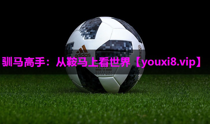 驯马高手:从鞍马上看世界 驯马高手:从鞍马上看世界