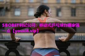 移动式乒乓球台哪家强一点 移动式乒乓球台哪家强一点