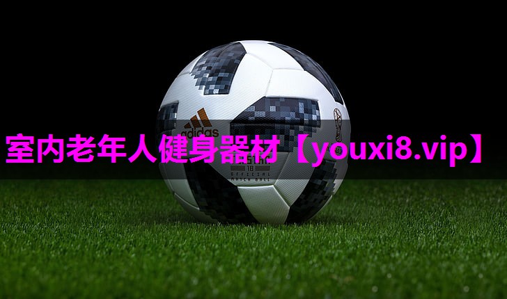 室内老年人健身器材