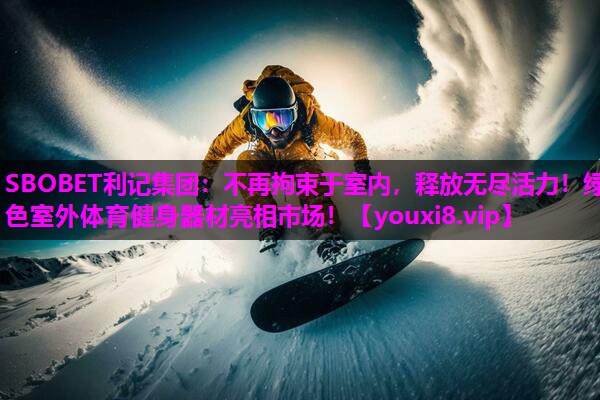 不再拘束于室内,释放无尽活力!绿色室外体育健身器材亮相市场! 不再拘束于室内,释放无尽活力!绿色室外体育健身器材亮相市场!