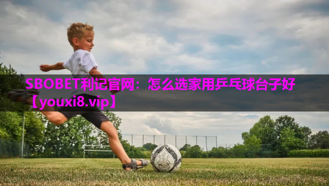怎么选家用乒乓球台子好 怎么选家用乒乓球台子好