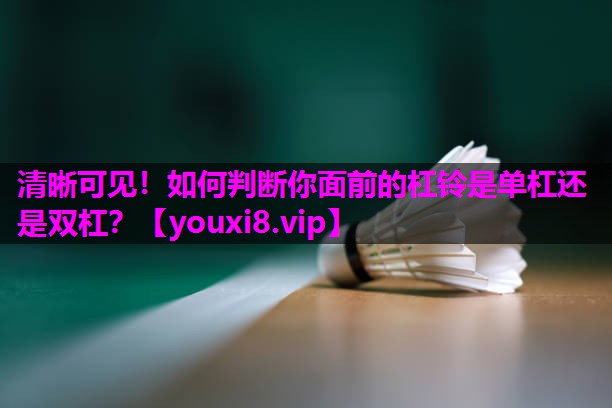清晰可见!如何判断你面前的杠铃是单杠还是双杠? 清晰可见!如何判断你面前的杠铃是单杠还是双杠?