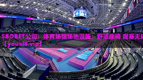 体育场馆场地设施：舒适座椅 观赛无碍
